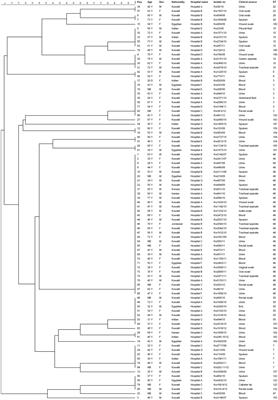 Molecular fingerprinting by multi-locus sequence typing identifies microevolution and nosocomial transmission of Candida glabrata in Kuwait